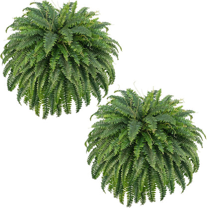 50" Artificial Boston Ferns, Fake Bush Plants, Large Faux Ferns with 96 Fronds for Outdoors Home Decor