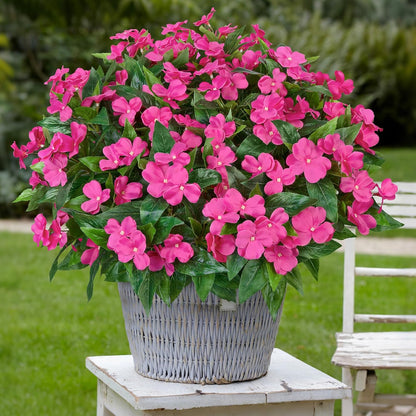 5 Pcs Artificial Flowers for Outdoors Silk Impatiens Flowers Bouquet Decorations Fake Faux Plants UV Resistant for Spring Summer Garden Patio Porch Window Box Balcony Planters Home, Red