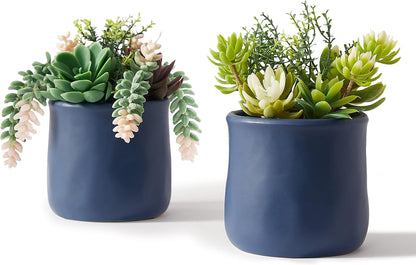 Artificial Succulent Plants in Ceramic Pots, Faux Assorted Succulents Fake Cactus Plants for Home Decor, Bedroom, Office, Desk, Living Room, Set of 3…