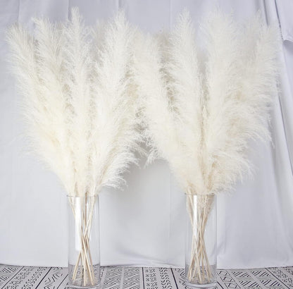 Charming Tall Dried Pampas Grass Stems Indoor Decor Statement