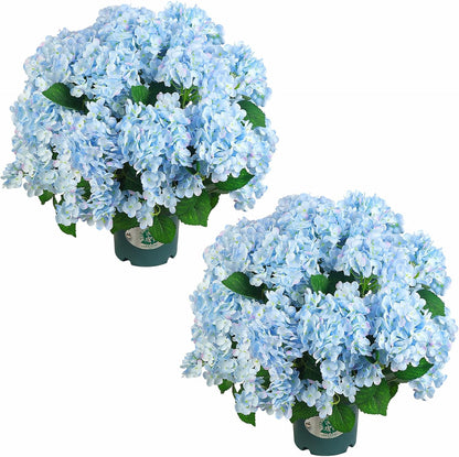 QIANYUN Artificial Topiary for Outdoors -20” Potted Plant Fake Hydrangea Bush-UV Resistant Artificial Outdoor Plants for Front Porch, Garden, Yard, Patio Decor (White)
