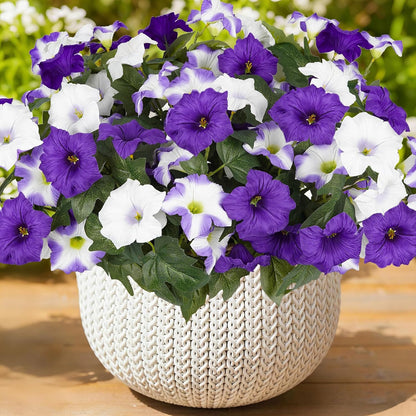 Artificial Flowers for Outdoors, Faux Petunias Spring Summer Decoration, Fake Flowers Plants UV Resistant Look Real Silk Flowers for Outside Planter Front Door Porch Patio Yard (6, Purple-White)