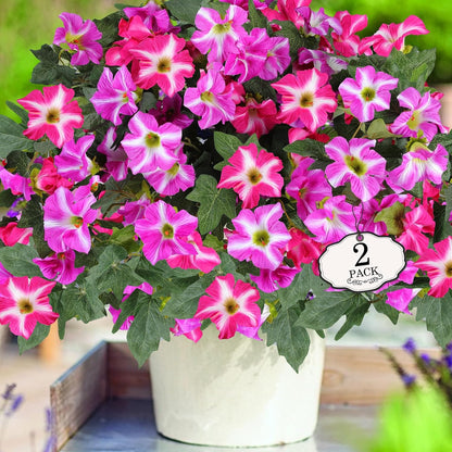Artificial Fake Flowers for Outdoor Plants Decoration, 4 Pcs Faux Petunia Flowers Plants UV Resistant Silk for Porch Yard Garden Home Indoor Decor (Purple White)