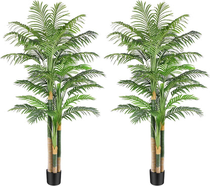Natural Tall Triple Golden Cane Home Decor Arrangement