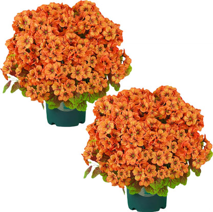 QIANYUN Artificial Geranium Bush – 20 Inch Outdoor Potted Artificial Plant for Front Porch, UV Resistant Faux Flower Bush for Garden, Yard & Patio Decor (2 Pack)