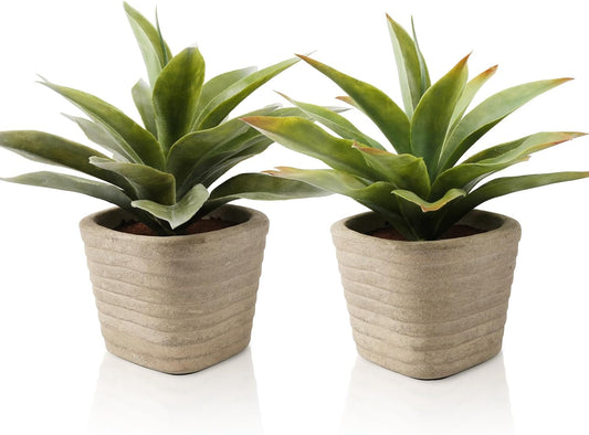 Decorative Small Artificial Agave Dried Indoor Decor Collection