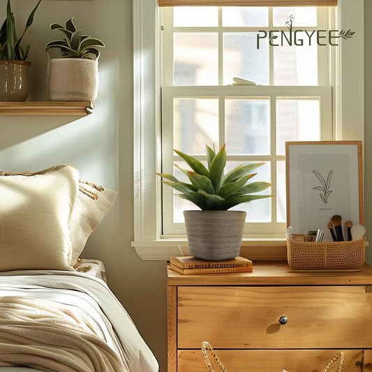Decorative Small Artificial Agave Dried Indoor Decor Collection