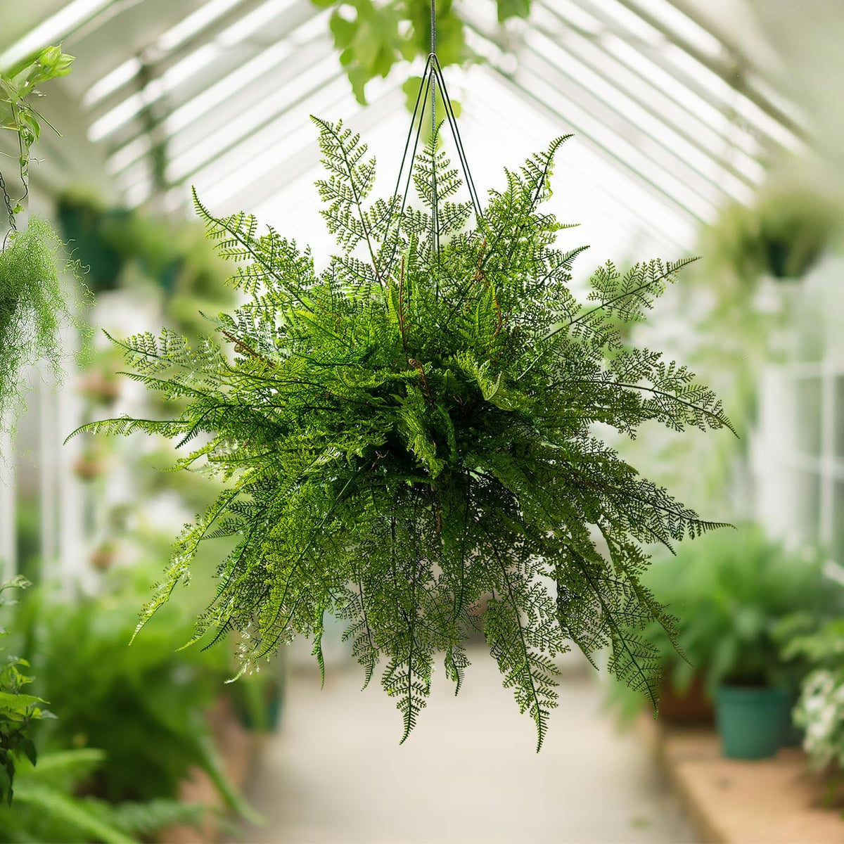 Charming Artificial Fern Greenery Dried Indoor Decor Collection
