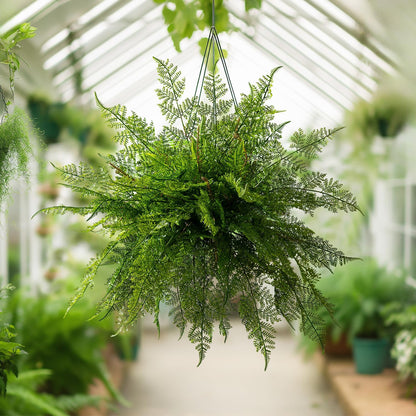 Charming Artificial Fern Greenery Dried Indoor Decor Collection