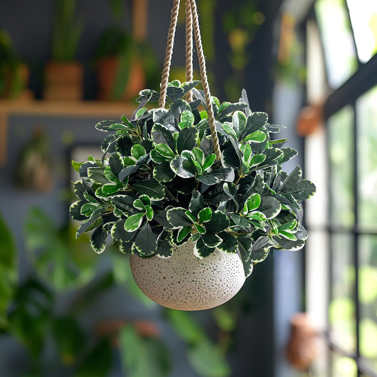 Festive Artificial Ficus Shrubs Greenery Home Decor Set