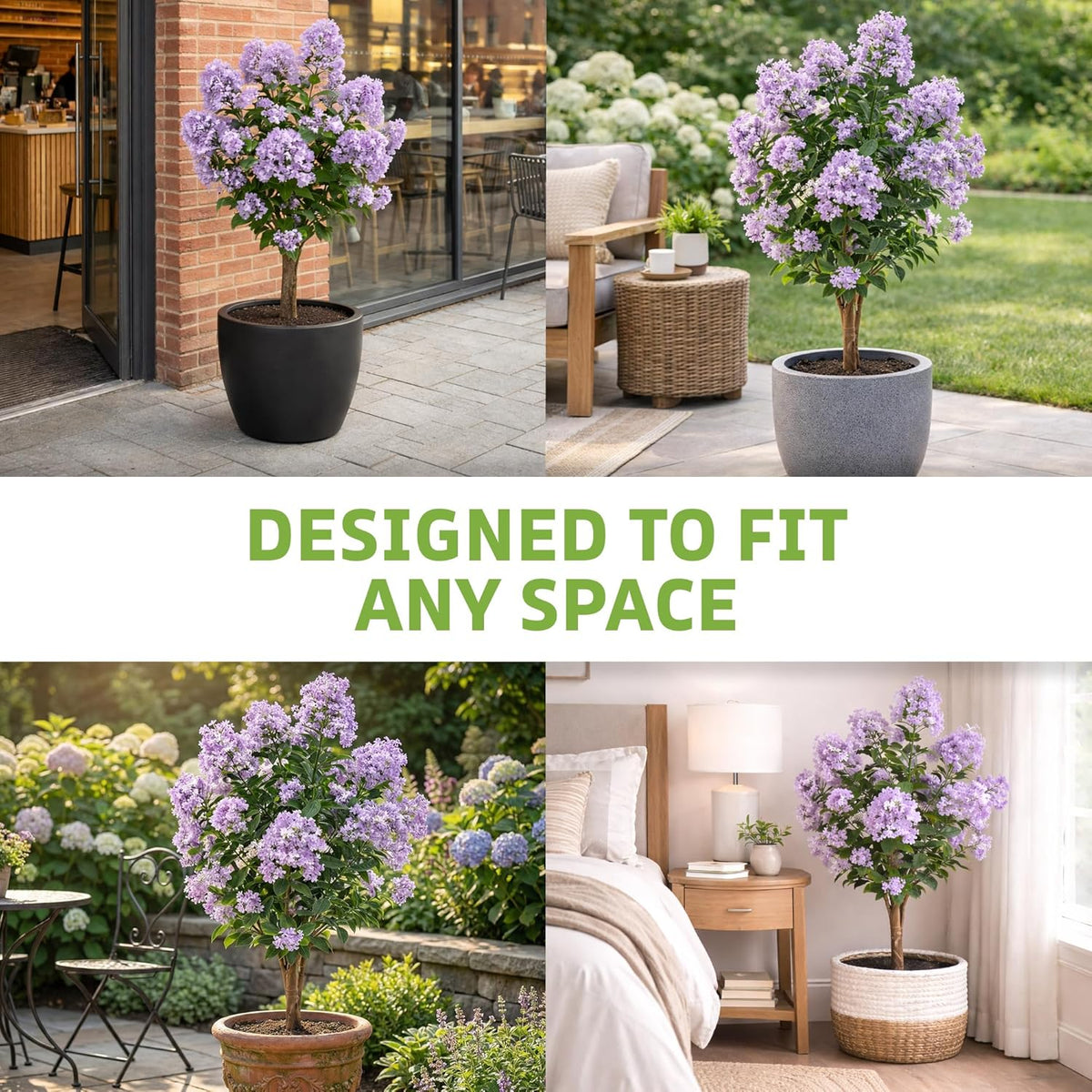 Naturae Decor Purple Crape Myrtle Tree - Lifelike Artificial Indoor and Outdoor Flower Tree - UV Resistant - 36 in High