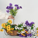 2 Pcs Autumn Pansy Artificial Hanging Flower Baskets for Front Porch, Garden and Patio Decor
