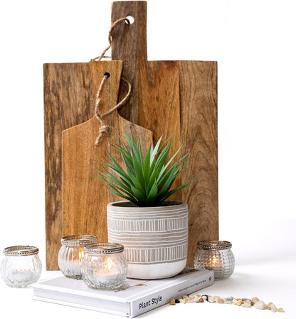 Kurrajong Farmhouse Artificial Plant | 8" Fake Plant for Desk Decor | Artificial Succulent in Pot | Fake Succulent | Faux Plant Indoor | Artificial Greenery for Shelf Decor