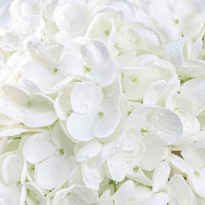 Yastouay 3 Pcs Real Touch Hydrangea Artificial Flowers, 21" White Full Faux Hydrangea Flowers Latex Fake Flowers for Home Decor Party Floral Arrangements Wedding Bouquets Centerpieces Outdoor Decor