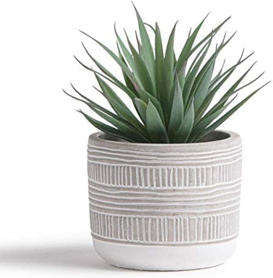 Kurrajong Farmhouse Artificial Plant | 8" Fake Plant for Desk Decor | Artificial Succulent in Pot | Fake Succulent | Faux Plant Indoor | Artificial Greenery for Shelf Decor