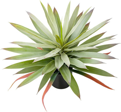 Deluxe Artificial Agave Plant Pot Home Decor Kit