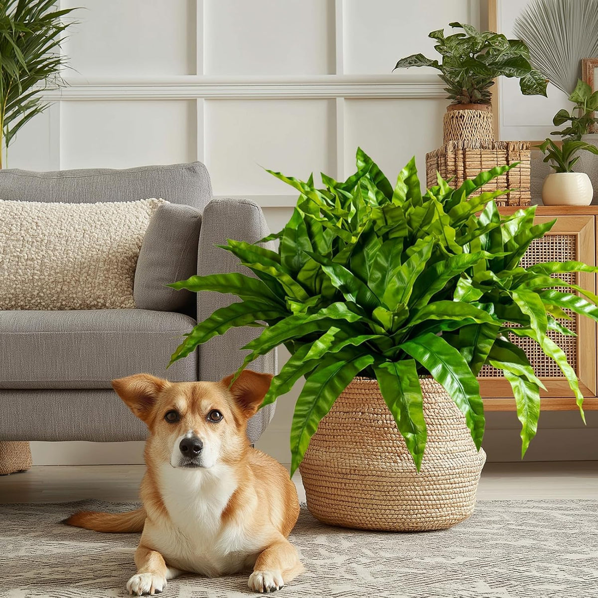 Elegant Artificial Bird Nest Fern Home Decor Arrangement