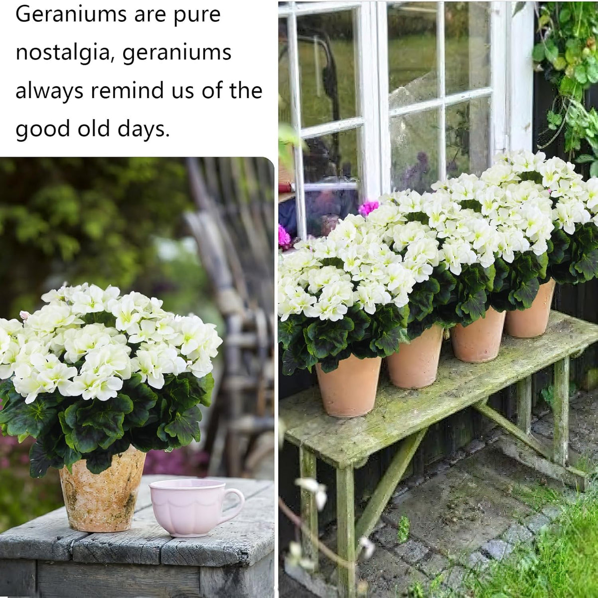 2 Pcs Artificial Geraniums for Outdoor Silk Geranium Flowers White Artificial Geranium Bush Faux Flowers Geraniums Branch for Garden Patio Grave Cemetery Vase Table Centerpiece Indoor Decor