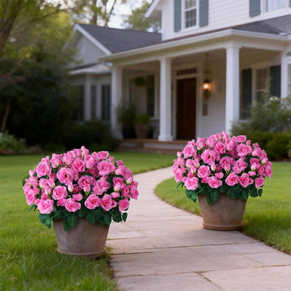 2 Set of Artificial Rose Topiary Trees - Faux Silk Flower Potted Plant, UV Resistant Fake Outdoor Rose Bush for Front Door, Farmhouse, Porch, Garden Decor (Pink)