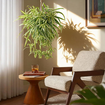 Lifelike Artificial Spider Hanging Chlorophytum Home Decor Bundle