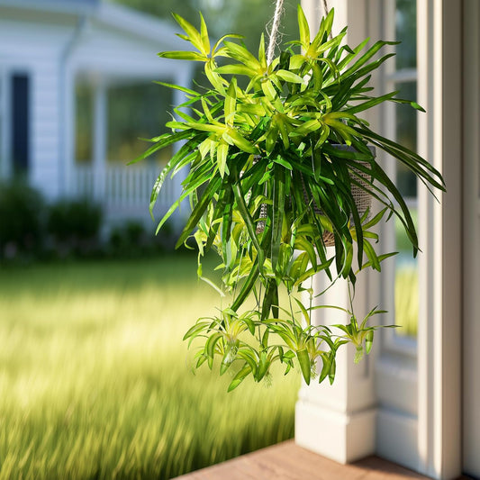Timeless Artificial Spider Hanging Chlorophytum Home Decor Selection