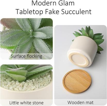 Hopewood Artificial Succulents Plant, Faux Agave Succulent Plant in Ceramic Pots with Bamboo Tray, Fake Potted Plants for Office Desk Living Room Decor(Set of 2)