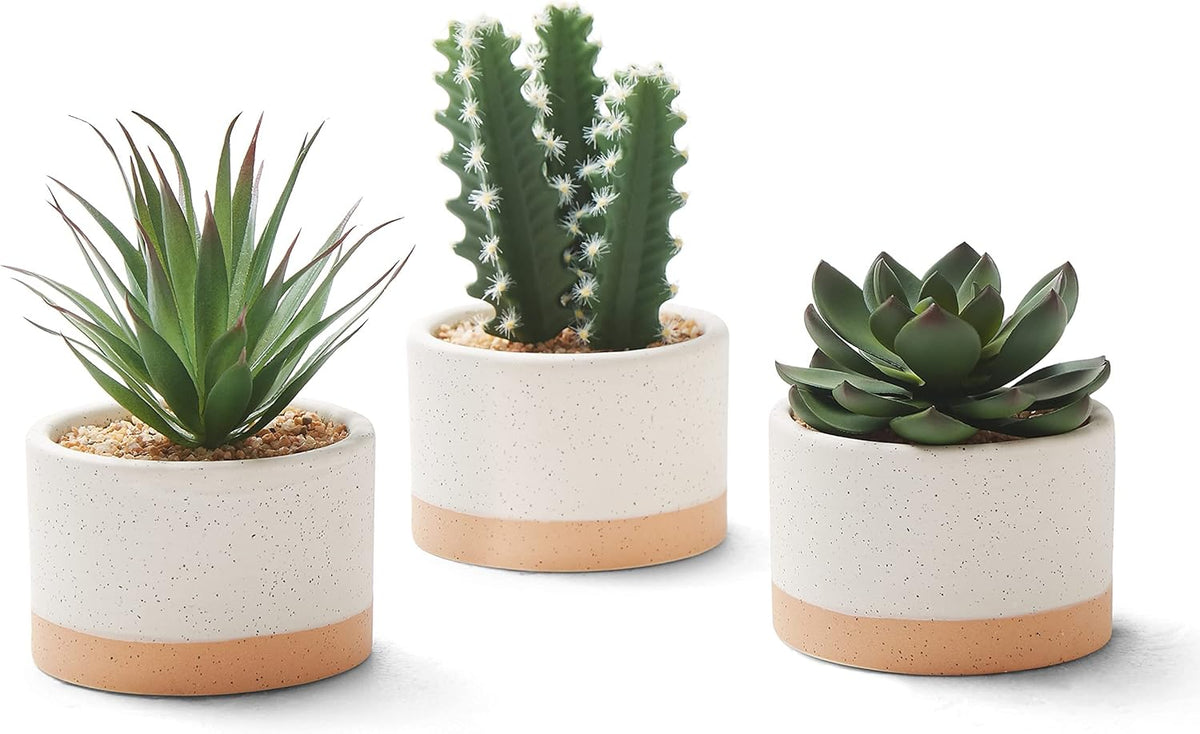 Artificial Succulent Plants in Ceramic Pots, Faux Assorted Succulents Fake Cactus Plants for Home Decor, Bedroom, Office, Desk, Living Room, Set of 3…