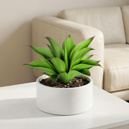 Festive Artificial Agave Resistant Succulents Home Decor Selection