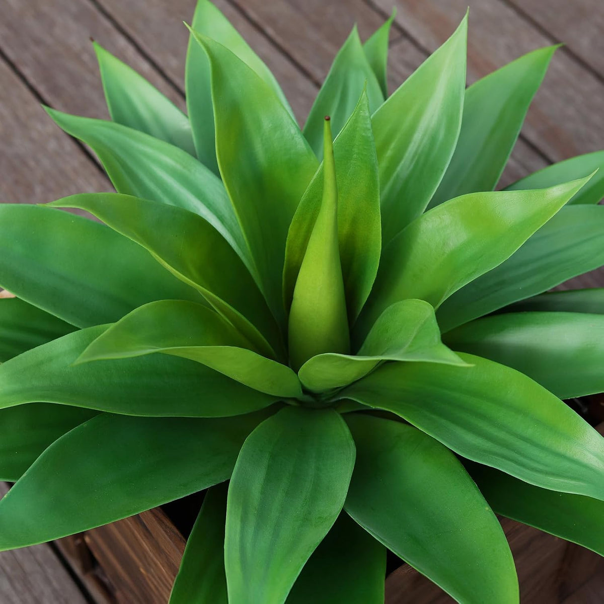 Serene Large Artificial Agave Succulent Home Decor Collection
