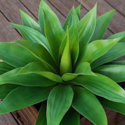 Serene Large Artificial Agave Succulent Home Decor Collection