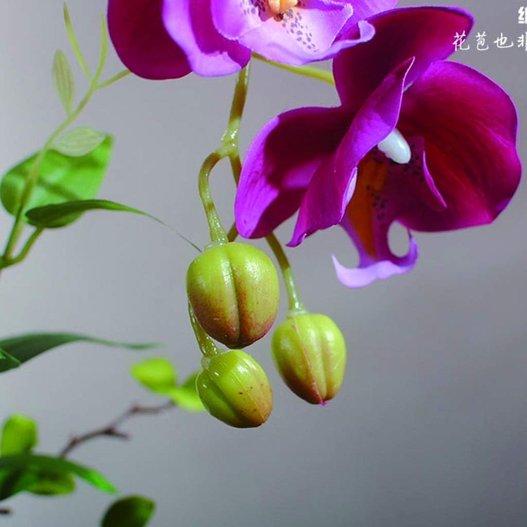 Artificial Orchid Faux Orchids with Gold Vase Artificial Flower Plastic Artificial Phalaenopsis Flowers 21in Fake Floral Home Artificial Orchid Very Natural