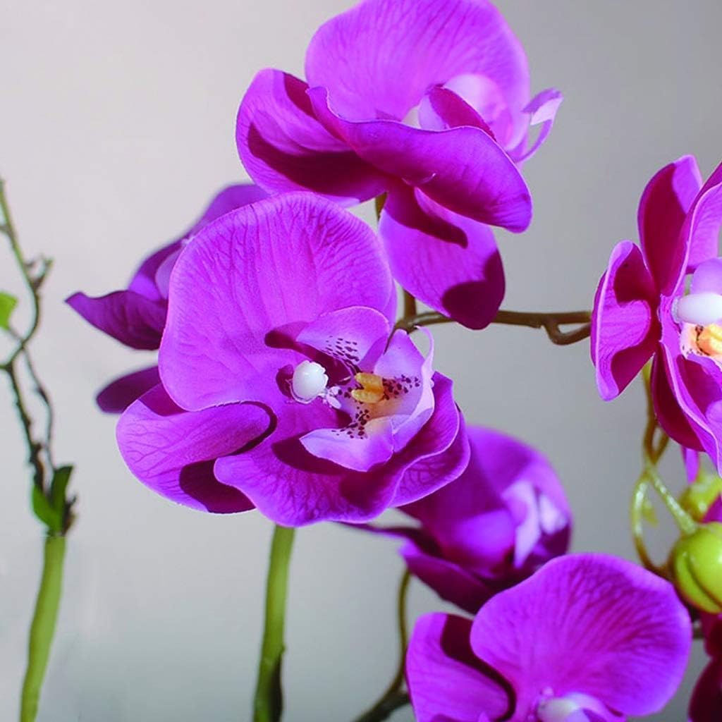 Artificial Orchid Faux Orchids with Gold Vase Artificial Flower Plastic Artificial Phalaenopsis Flowers 21in Fake Floral Home Artificial Orchid Very Natural