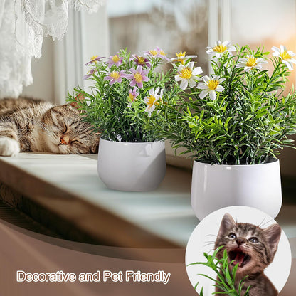 Refined Small Artificial Potted Kitchen Home Decor Kit