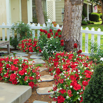 Ouddy Decor 18" Artificial Geranium Flowers for Outdoors, 10 Bundles Mixed Fake Silk Flowers Plastic Plants UV Resistant for Summer Garden Porch Patio Planter Kitchen Table Home Decor, Red