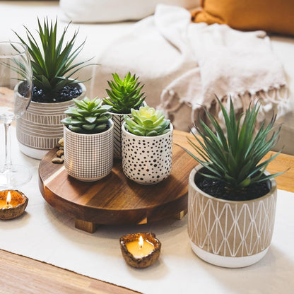 Kurrajong Farmhouse Artificial Succulents in pots | Set of 3 Black and White pots with Faux Succulents | Faux Plants Indoor | Fake Plants for Desk Decor | 4.75" high