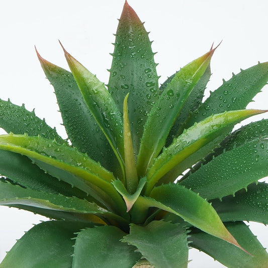 Vibrant Large Artificial Succulent Aloe Home Decor Series