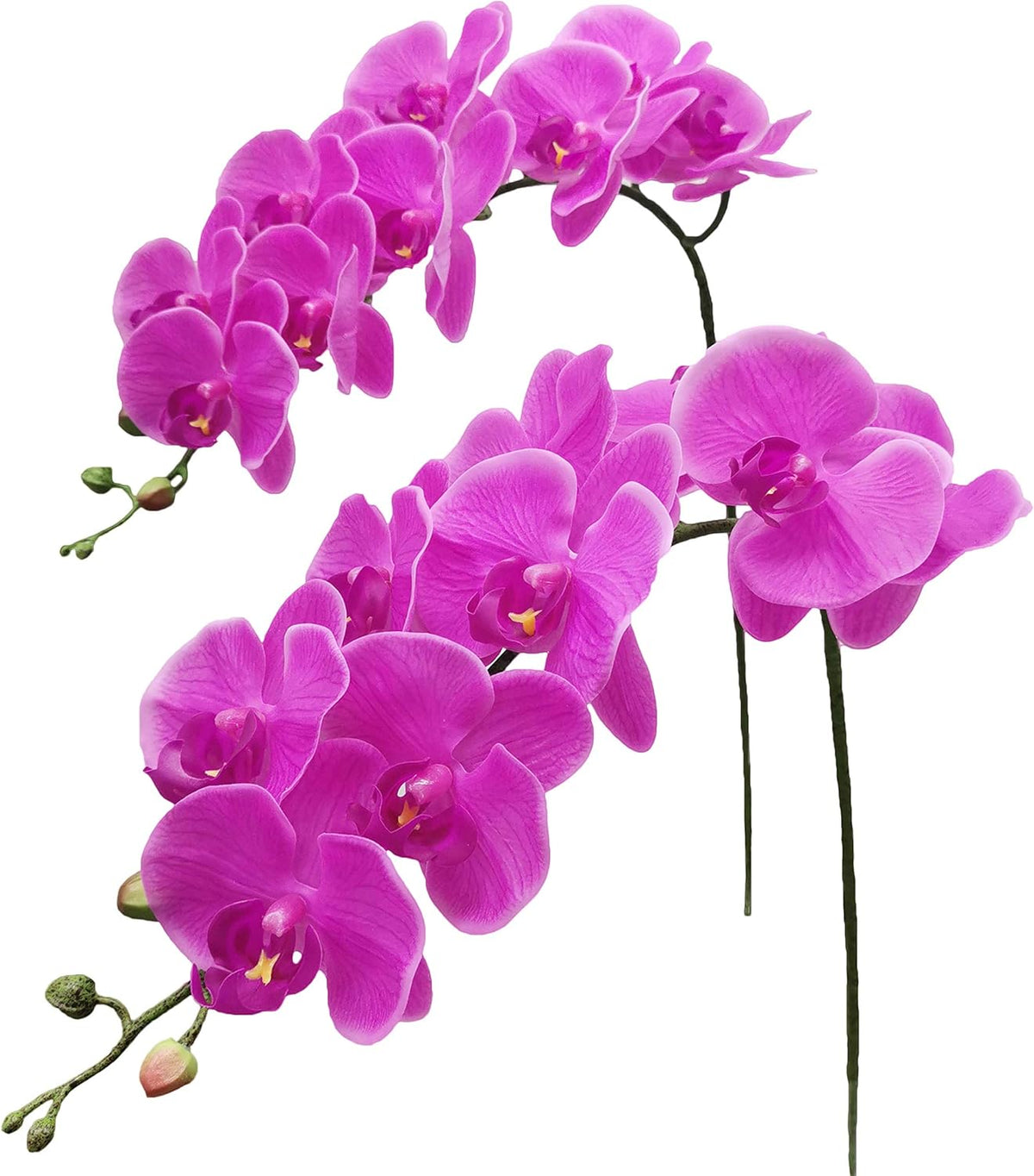 Fnize Artificial Orchid Stems Real Touch Latex Phalaenopsis Branches Faux Cymbidium Flowers 9 Large Petals 38 Inches 2 Pcs (Rose red)