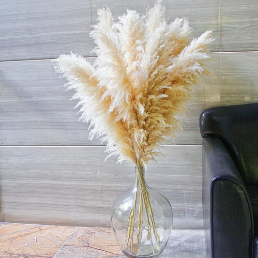 Charming Tall Dried Pampas Grass Stems Indoor Decor Statement
