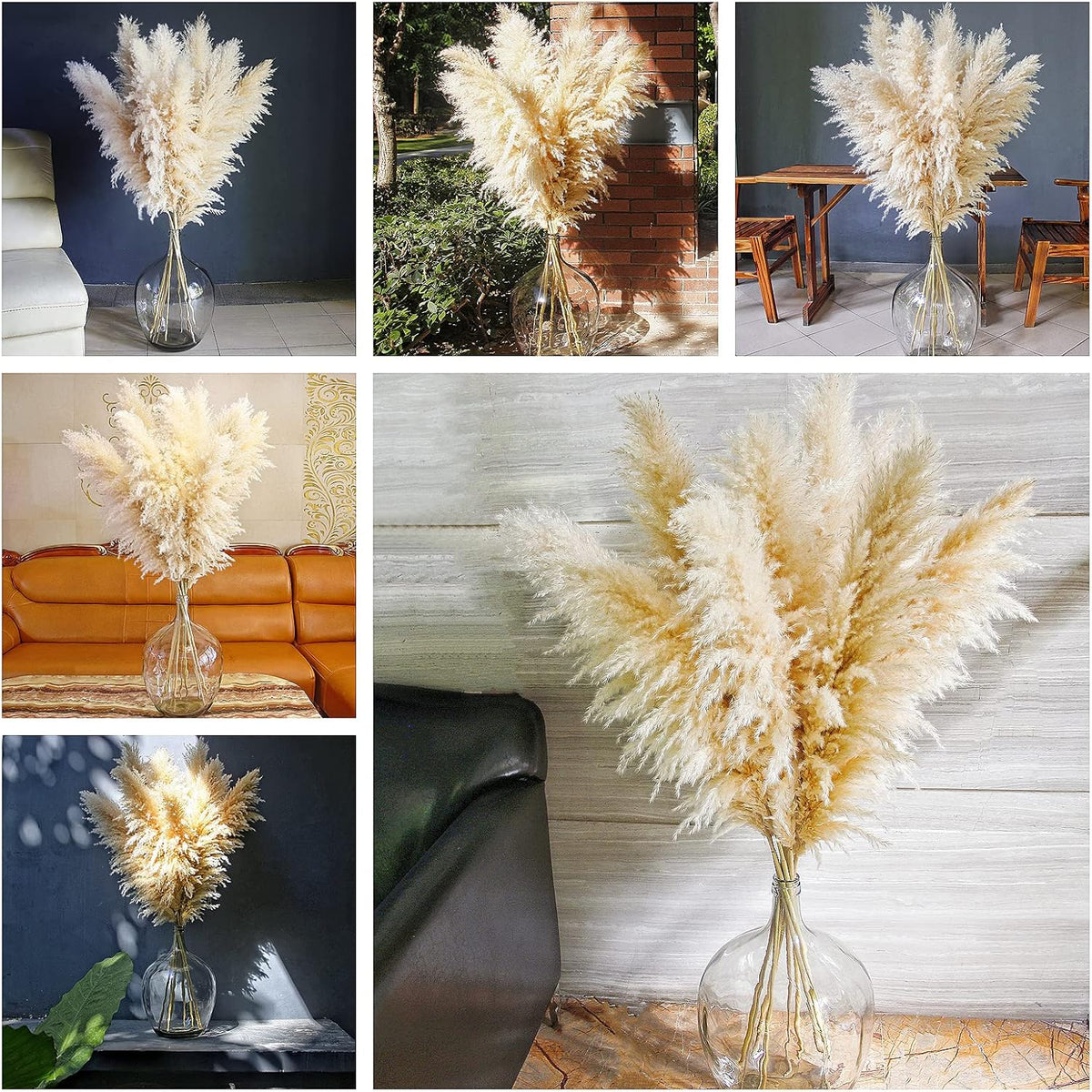 Charming Tall Dried Pampas Grass Stems Indoor Decor Statement
