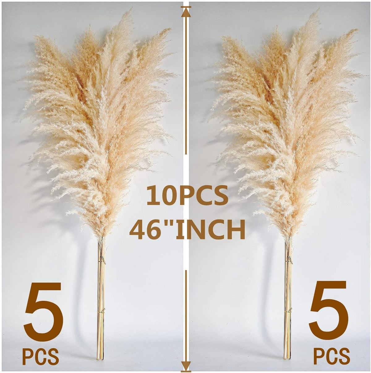 Charming Tall Dried Pampas Grass Stems Indoor Decor Statement
