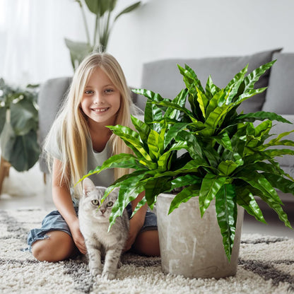Premium Artificial Bird Nest Fern Home Decor Set