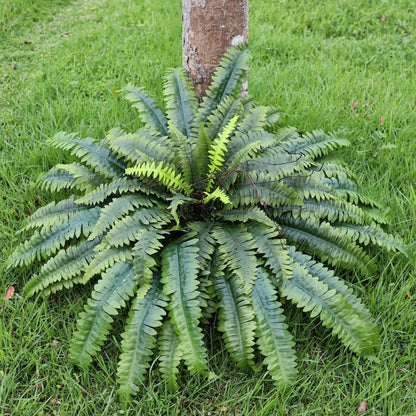 Realistic Large Artificial Ferns Fronds Home Decor Collection