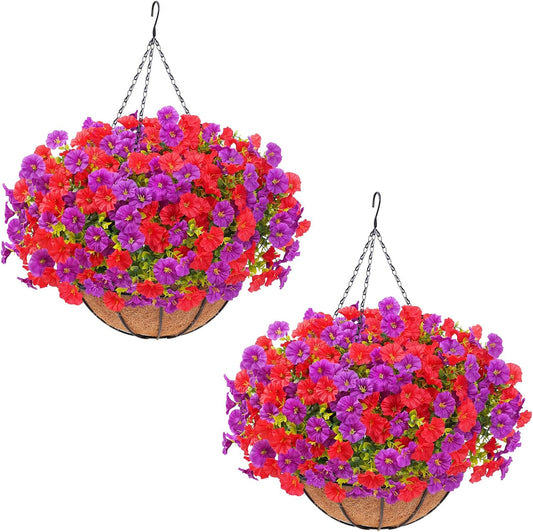 Vibrant Two UV Resistant Petunia Outdoor Decor Collection