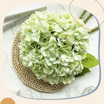 21In Light Green Artificial Hydrangea Flowers 5 Pcs Real Touch 3D Print Latex Flowers for Wedding Centerpieces Bouquets DIY Floral Decor Home Decoration with Stems