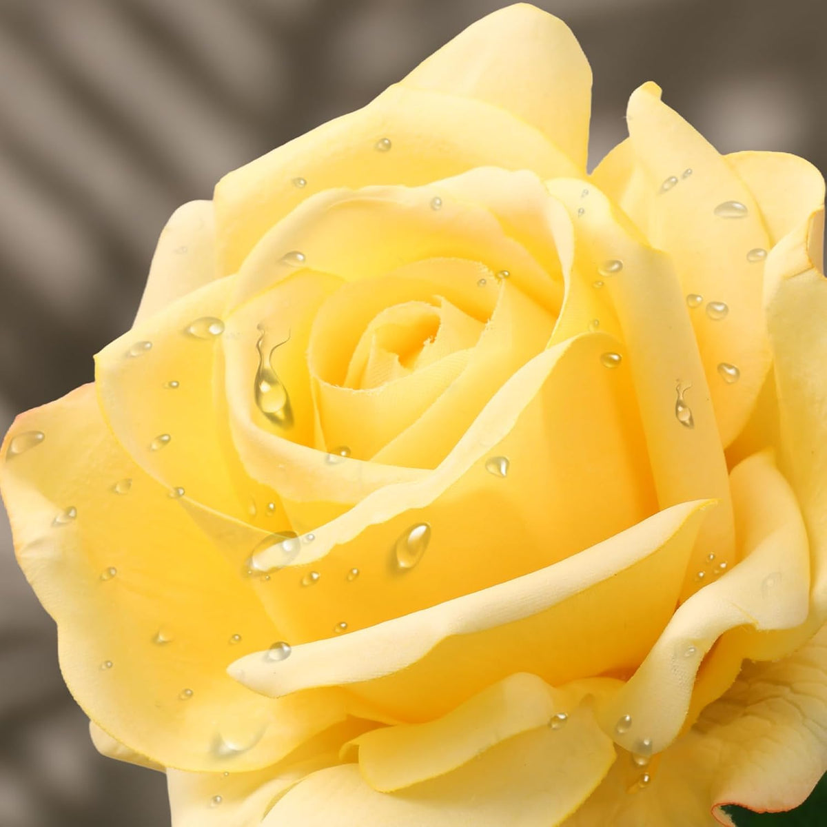 Eyamumo Fake Flowers, Faux Silk Real Touch Artificial Rose Flowers for Decoration DIY, Wedding Party, Home Office Decoration and Dining Table Centerpiece, 7Pcs (Yellow-30cm, 30CM)