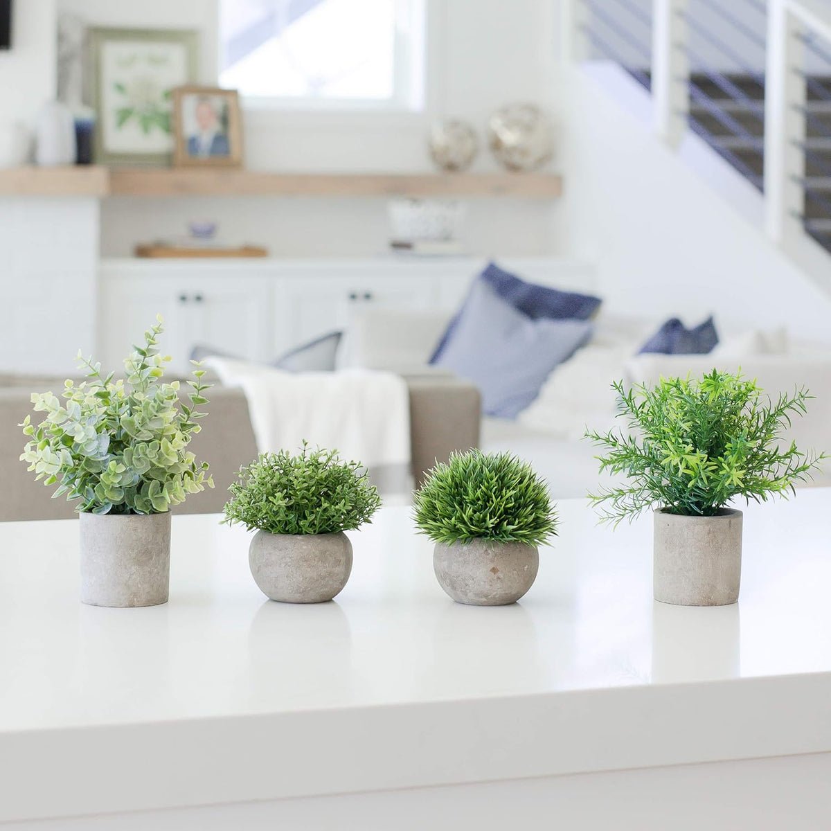 Artificial Plants for Home Decor Indoor. 4 Mini Plants, Rosemary Faux Plant Decor, Eucalyptus Plant, Grass Plants. Small Fake Shelf or Desk Greenery Décor