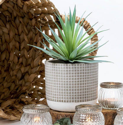 Kurrajong Farmhouse Artificial Plant | 8" Fake Plant | Artificial Succulent in Pot | Fake Succulent | Faux Greenery Indoor | Beautiful Office Desk Decor