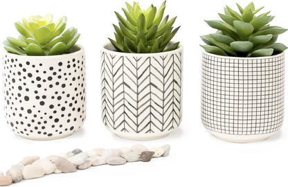 Kurrajong Farmhouse Artificial Succulents in pots | Set of 3 Black and White pots with Faux Succulents | Faux Plants Indoor | Fake Plants for Desk Decor | 4.75" high
