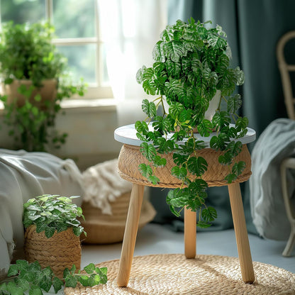 Decorative Artificial Hanging Monstera Resistant Indoor Decor Set