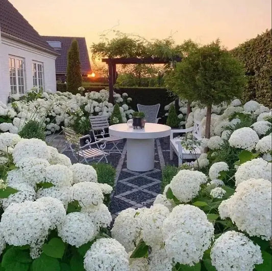 Refined Blooms Hydrangea Bundle UV Outdoor Decor Assortment
